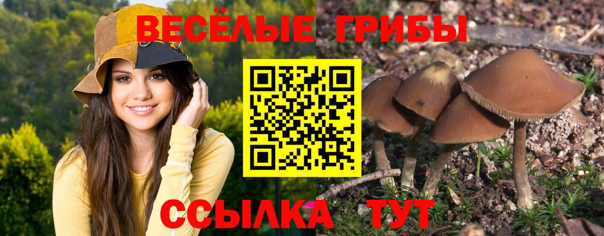 Алапаевск  Галлюциногенные грибы MAGIC MUSHROOMS  Вход с VPN  Псилоцибиновые грибы прущие грибы 
