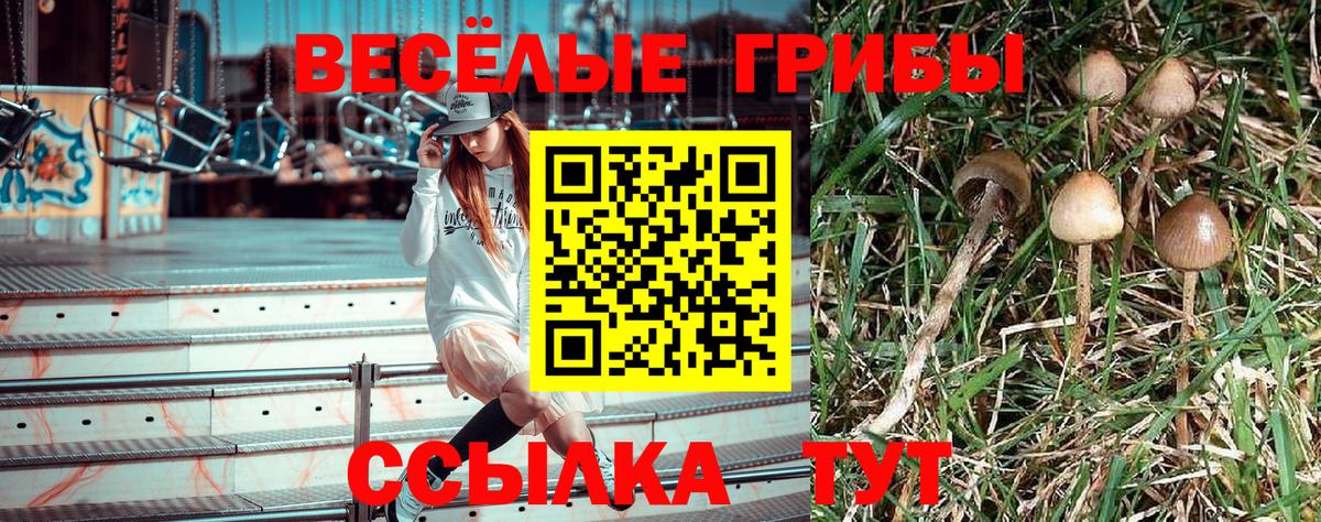 Псилоцибиновые грибы Cubensis Алапаевск